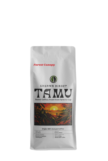 Aberdare Forest Canopy image